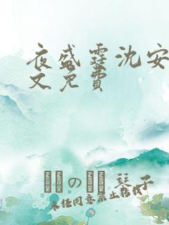 夜盛霆沈安然全文免费