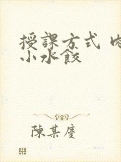 授课方式 肉馅小水饺