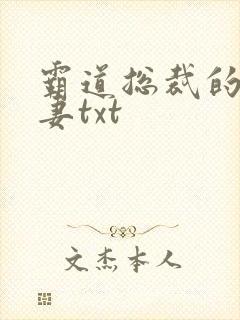 霸道总裁的挂名妻txt