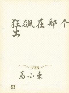 狂飙在哪个台播出