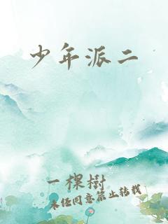 少年派二