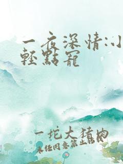 一夜深情:小叔轻点宠