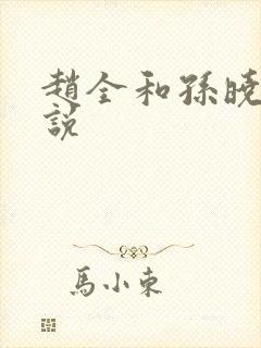 赵全和孙晓云小说