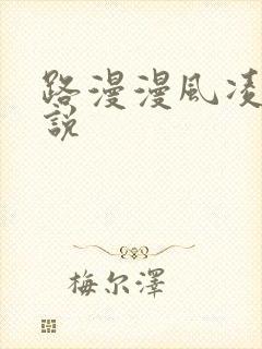 路漫漫风凌轩小说
