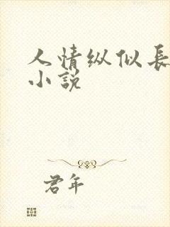人情纵似长情月小说