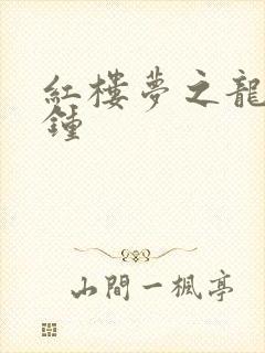 红楼梦之龙套秦钟