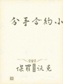 分手合约小说