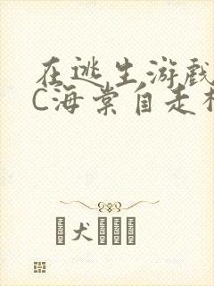 在逃生游戏里挨C海棠自走棋