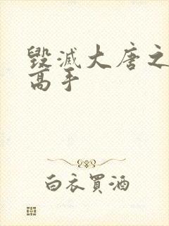 毁灭大唐之异能高手