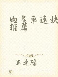肉多车速快的书推荐