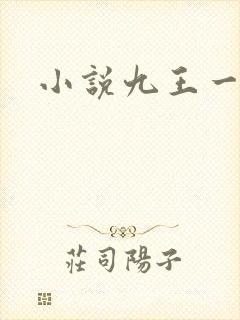 小说九王一后