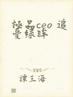 极品ceo 追爱绿眸