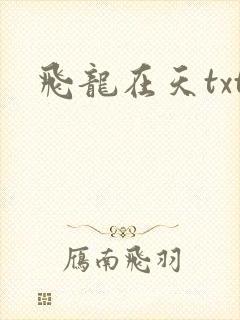 飞龙在天txt
