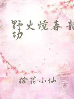 野火烧春 龙鸣功