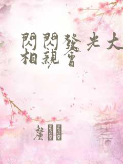 闪闪发光大团圆相亲会