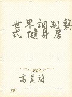 世界调制系统模式 健身房