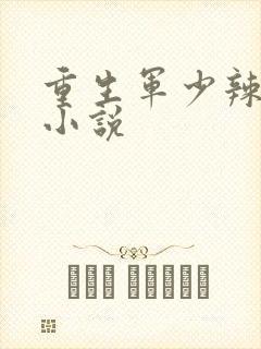 重生军少辣娇妻小说