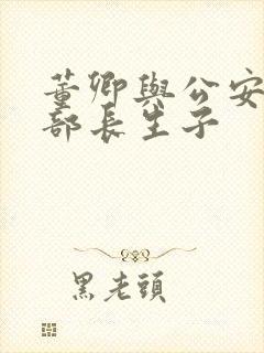 董卿与公安部副部长生子