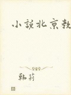 小说北京教父