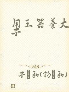 用玉器养大的皇子