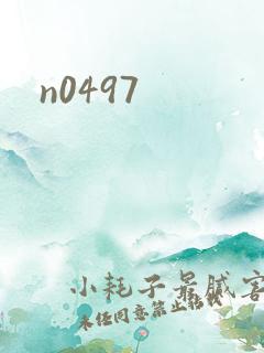 n0497