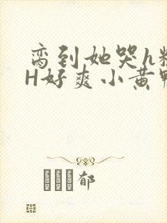 脔到她哭h粗话H好爽小黄鸭视频