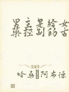 男主是给女主喂药控制的古言