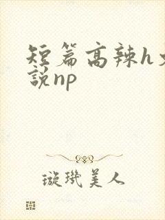 短篇高辣h文小说np