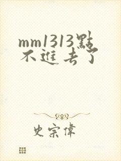 mm1313点不进去了