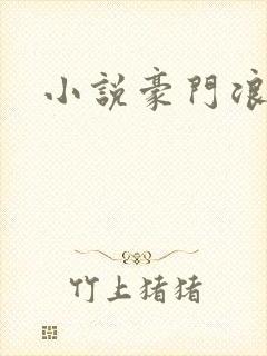 小说豪门浪荡史