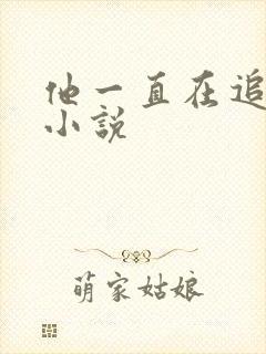 他一直在追初恋小说