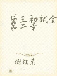 黛玉初试金箍棒第二章