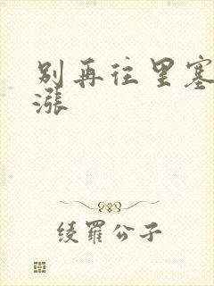 别再往里塞了好涨