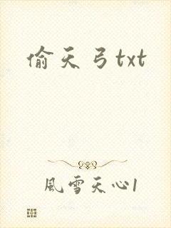 偷天弓txt