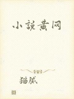 小说黄网