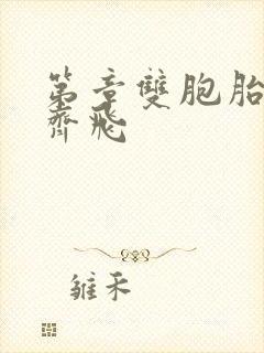 第章双胞胎姐妹齐飞