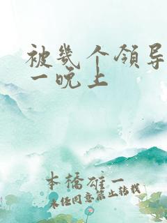 被几个领导玩弄一晚上