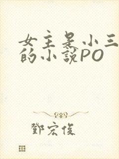 女主是小三很婊的小说PO