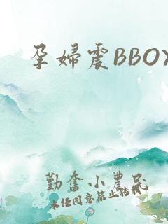 孕妇震BBOX