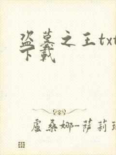 盗墓之王txt下载