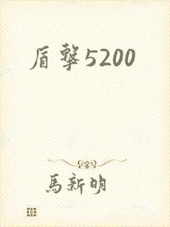 盾击5200