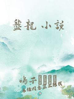 盘龙 小说