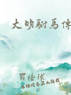 大明驸马传