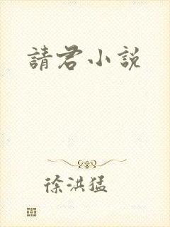 请君小说