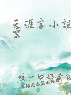 天涯客小说百度云