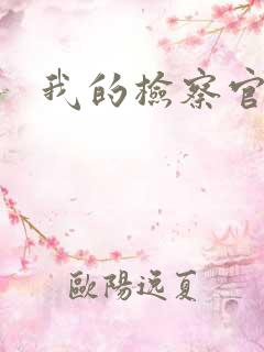 我的检察官先生