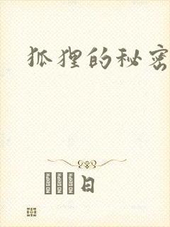 狐狸的秘密下载