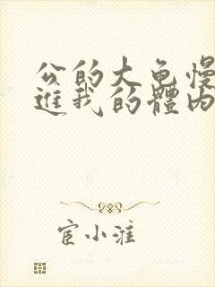 公的大龟慢慢挺进我的体内视频