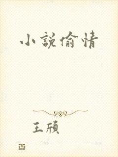 小说偷情