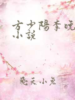 方少阳李晚晴的小说